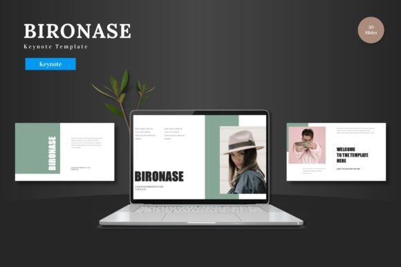 Bironase - Keynote Template