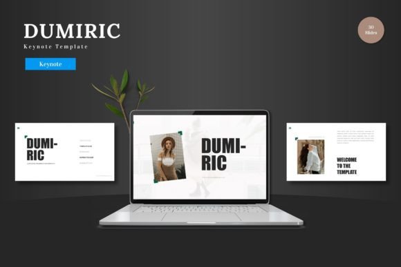 Dumiric - Keynote Template: A Versatile Tool for Modern Presentations