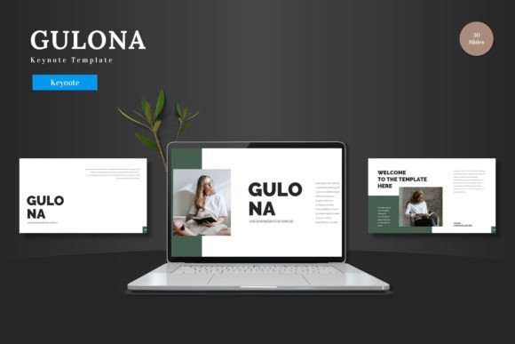 Gulona - Keynote Template: A Versatile Presentation Solution