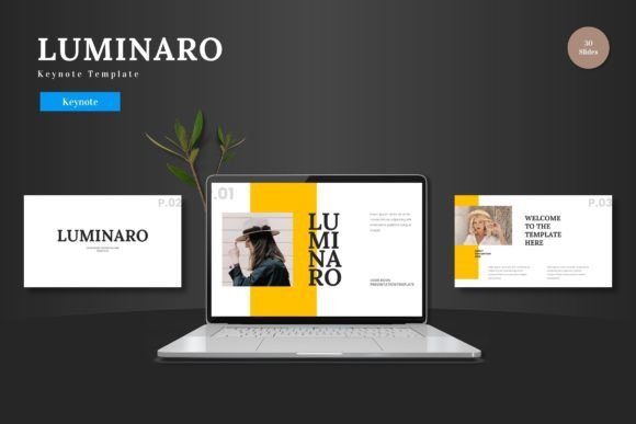 Luminaro - Keynote Template: A Versatile Tool for Professional Presentations