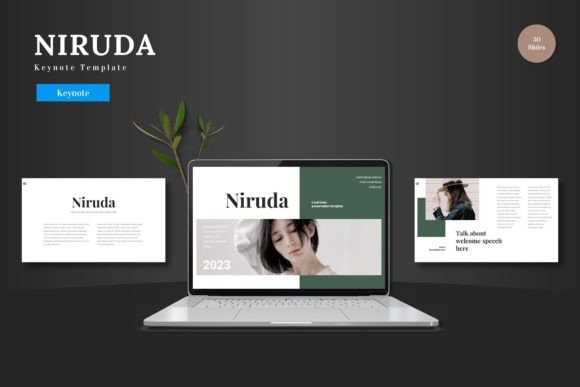 Niruda - Keynote Template: Build Professional Presentations That Resonate